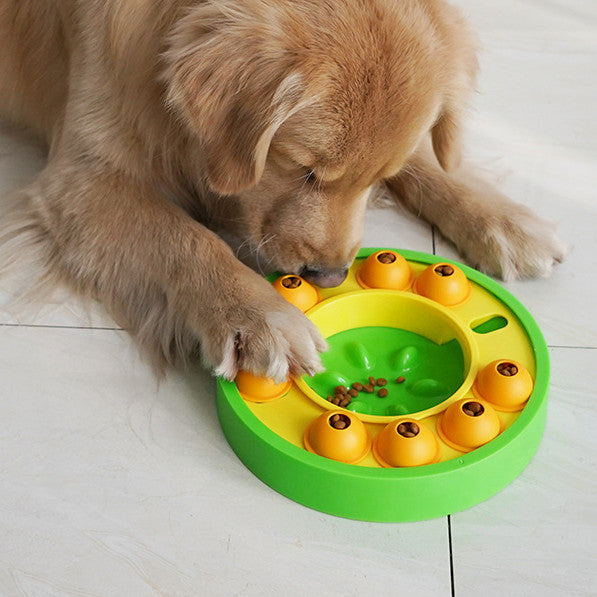 The Mealtime Puzzle