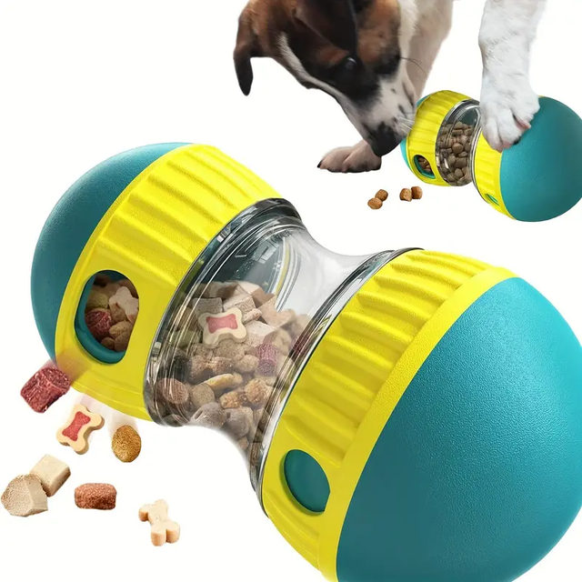 The Roll & Discover Toy