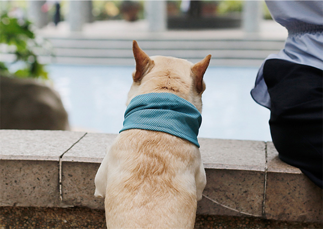 The Summer Neck Wrap