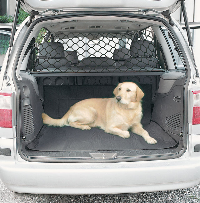 The Back-Seat Boundary Net