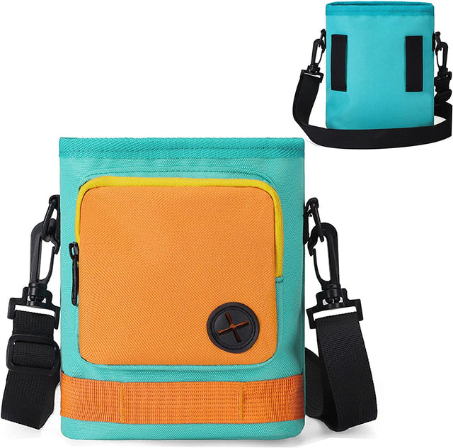 The Everyday Walking Satchel