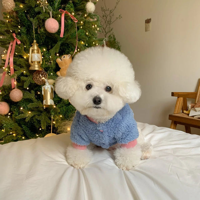 The Little Cozy Coat
