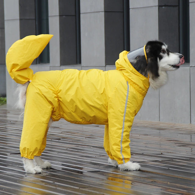 The Full-Cover Rain Suit